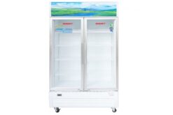 Tủ mát Sanaky VH-1009HP 900 lít