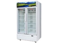 Tủ mát Sanaky VH-8009HP (700 lít)