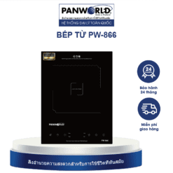 Bếp Từ Panworld PW-866