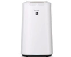 Máy lọc không khí và tạo ẩm Sharp KI-L60V-W
