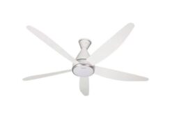 Quạt trần Panasonic PN-F-60GFN