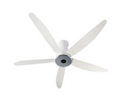Quạt trần Panasonic 5 cánh PN-F-60XDN-W