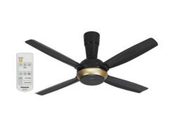 Quạt trần Panasonic PN-F-56XPG