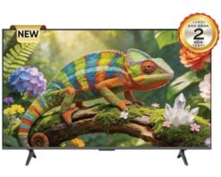 Google Tivi QLED Coocaa 4K 55 Inch 55Y79SE