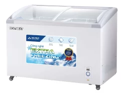 Tủ đông kính cong Hòa Phát 1 ngăn 2 cánh 451 lít HSF AD6451.C(1)